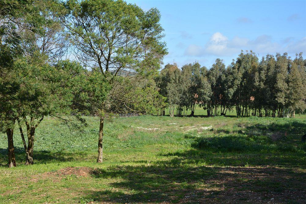 Sa Murta In Sennariolo-oristano Vakantieboerderij