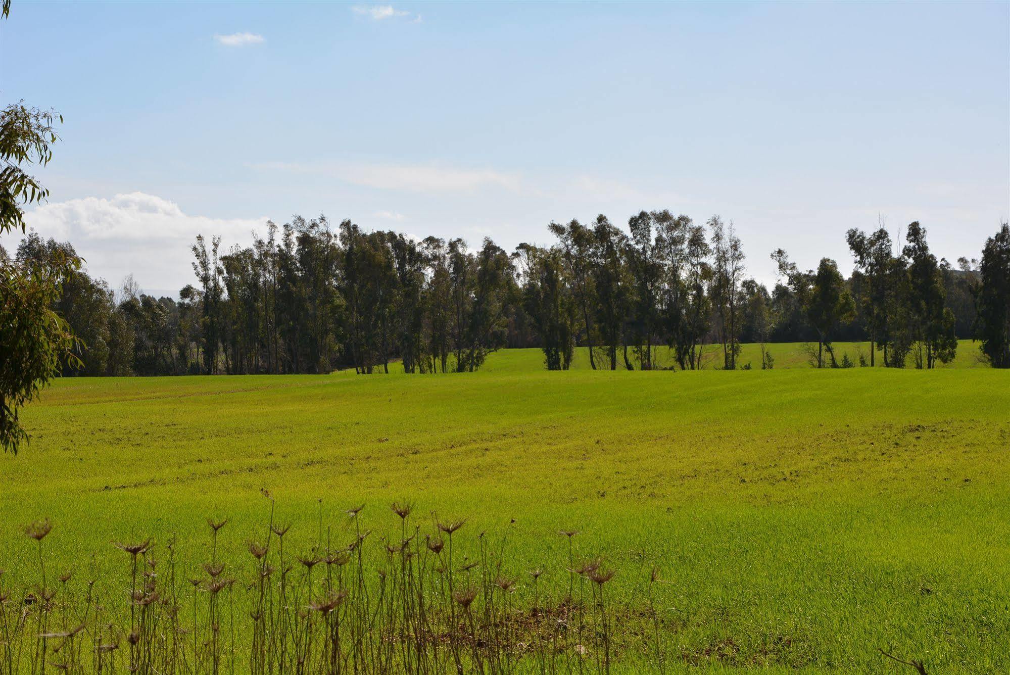 Sa Murta In Sennariolo-oristano Vakantieboerderij